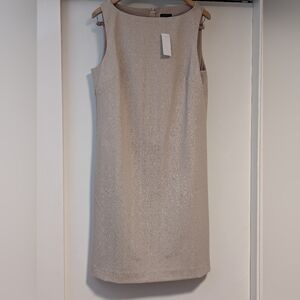 Ann Taylor Sleeveless Shift Dress